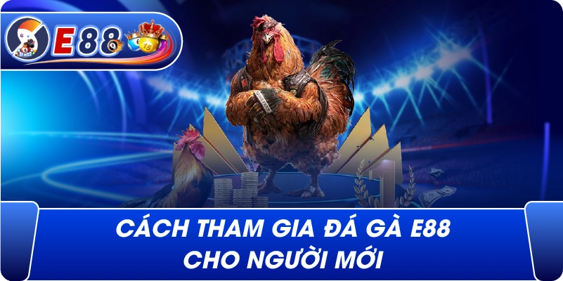 Cách tham gia Đá Gà e88 cho người mới