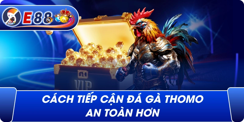 Cách tiếp cận Đá gà Thomo an toàn hơn