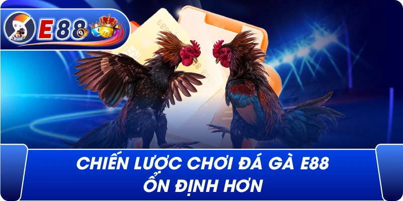 Chiến lược chơi Đá Gà e88 ổn định hơn