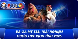 Đá gà Mỹ e88: Trải nghiệm cược live kịch tính 2026