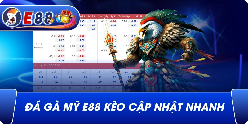Đá gà Mỹ e88 kèo cập nhật nhanh