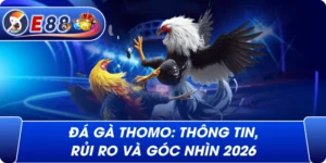 Đá gà Thomo: Thông tin, rủi ro và góc nhìn 2026