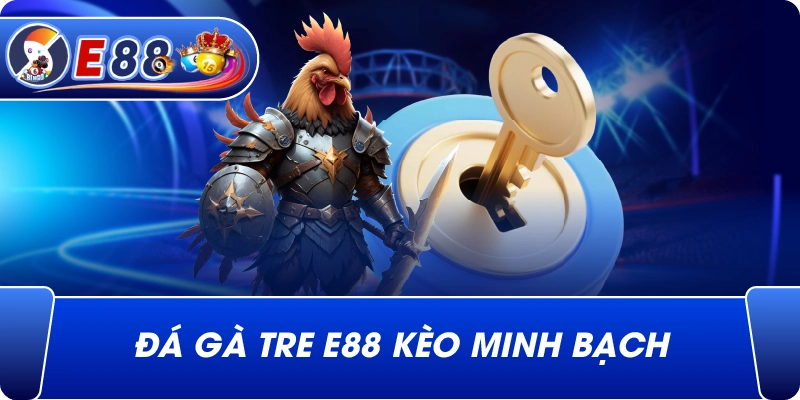 Đá gà tre e88 kèo minh bạch