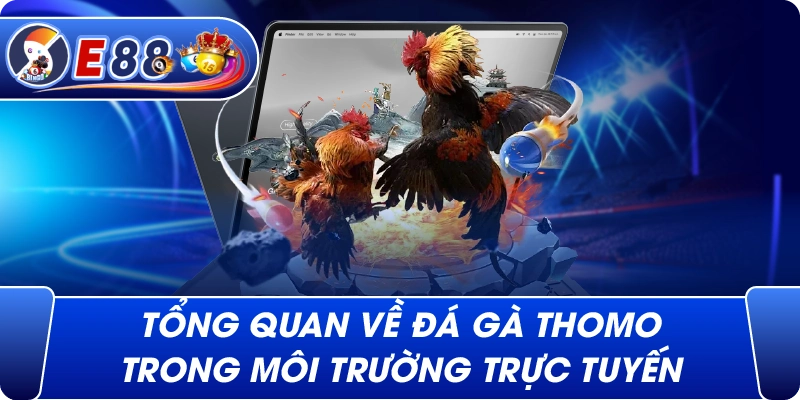 Tổng quan về Đá gà Thomo trong môi trường trực tuyến